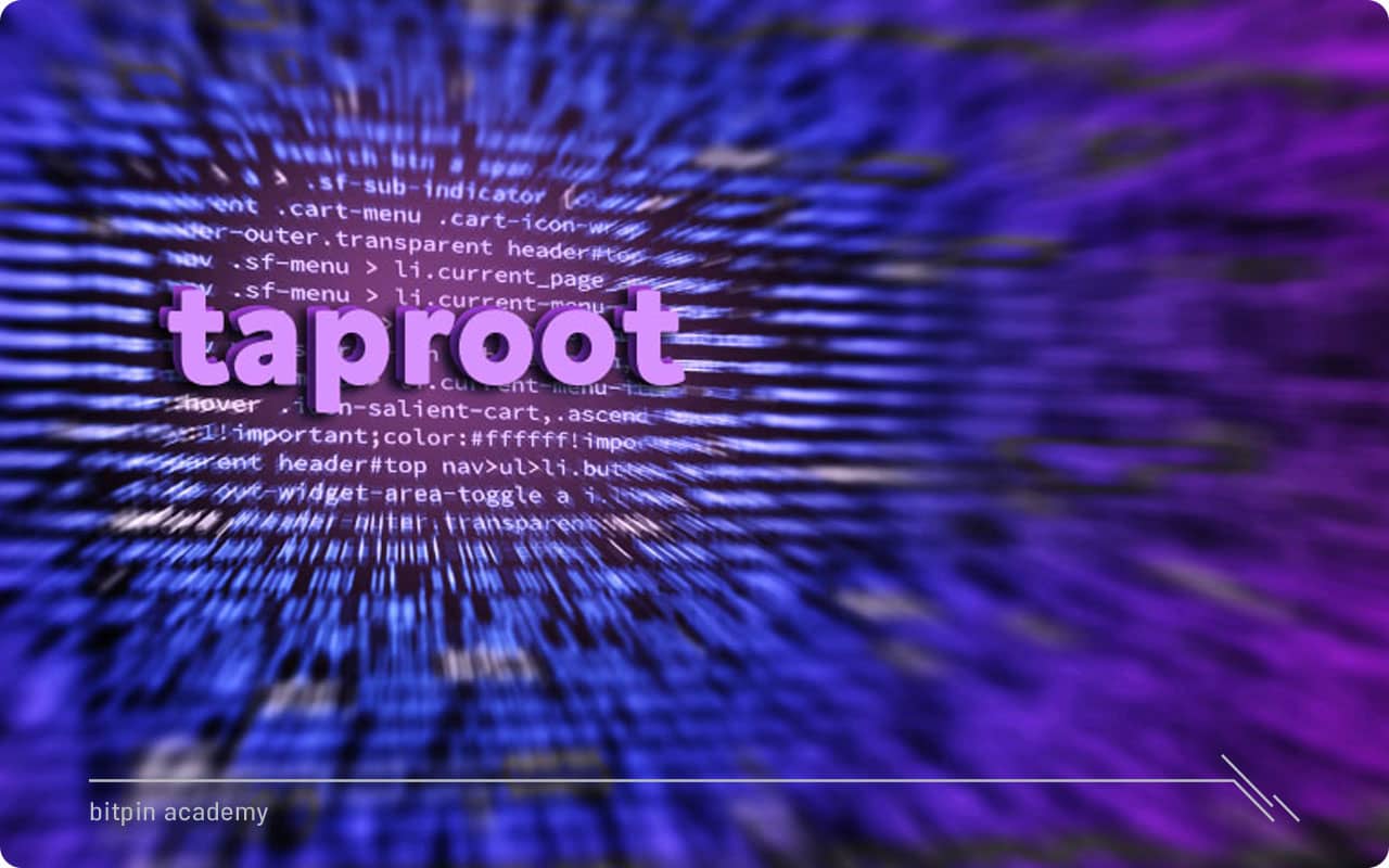 تپ روت (Taproot) چیست و چگونه برای بیت کوین مفید است؟
