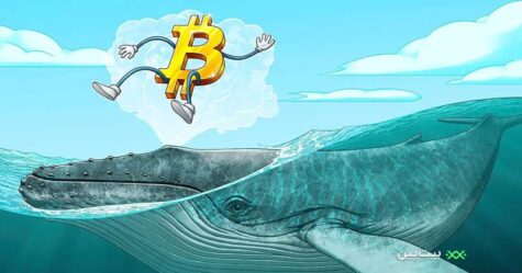 قوانین نانوشته‌ی هودلر بودن؛ آیا یک هودلر هستید؟