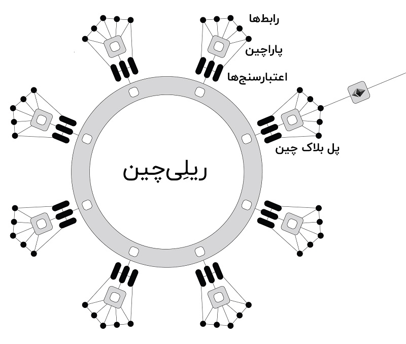 تصویری شماتیک از نحوه ارتباط زنجیره‌های مختلف در شبکه پولکادات
