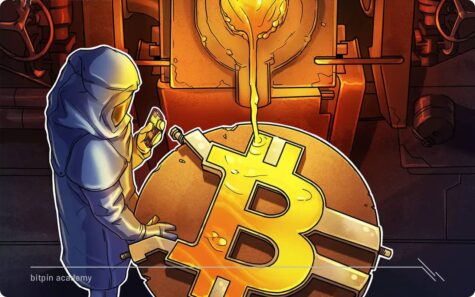 چرا بیت کوین، یک گزینه مناسب برای ذخیره ارزش است؟