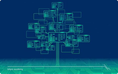الگوریتم جنگل تصادفی چیست و چگونه قیمت بیت کوین را پیش‌بینی می‌کند؟
