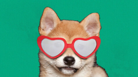 ارز دیجیتال بیبی دوج چیست؟