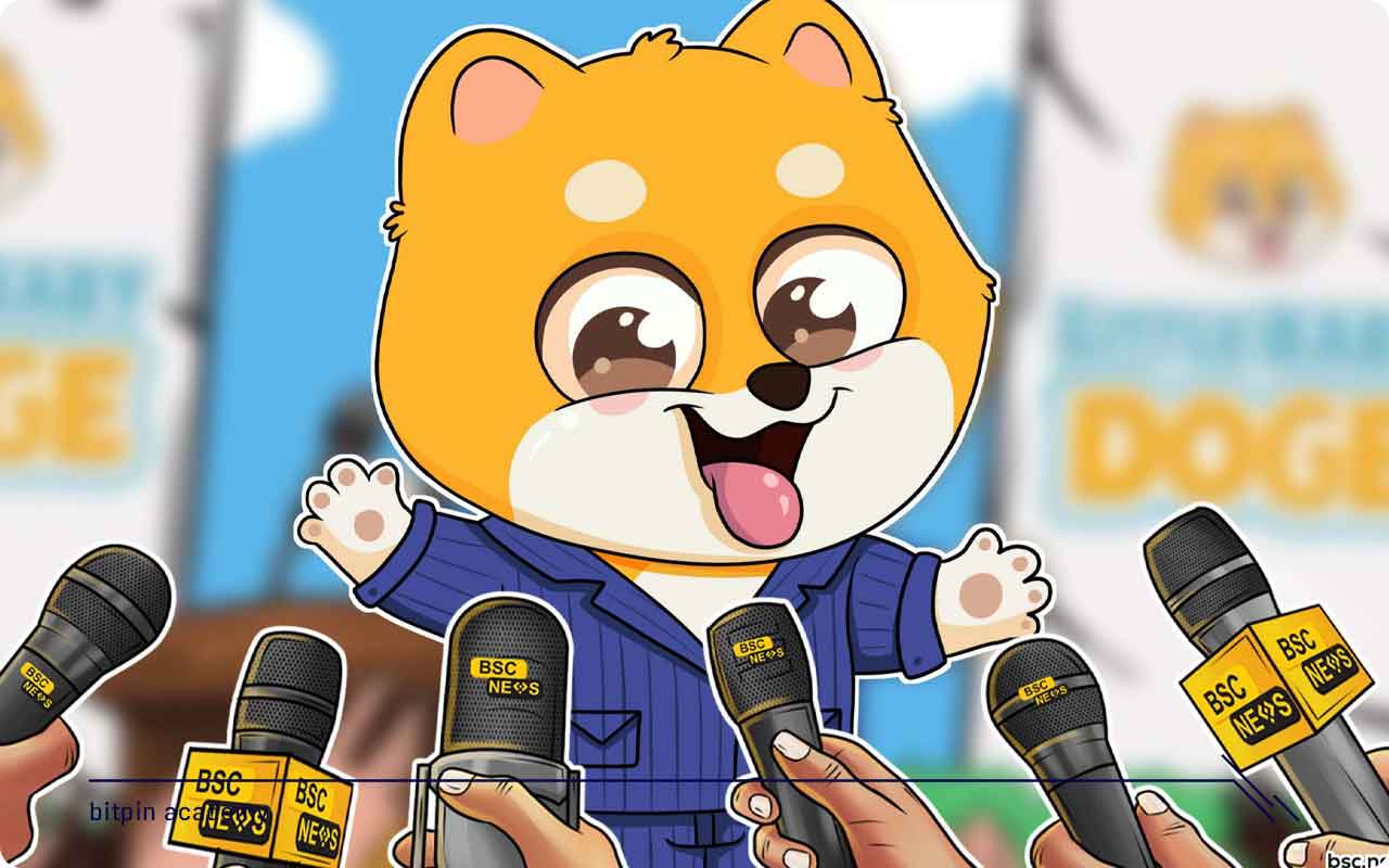 بیبی دوج (BabyDoge) چیست؟ همه چیز دربارهی ارز دیجیتال بیبی دوج (BabyDoge)