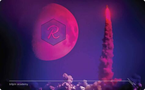 ریف (REEF) چیست؟ همه چیز درباره‌ی ارز دیجیتال ریف (REEF)