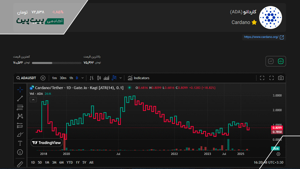 نمودار کاگی در بیت پین
