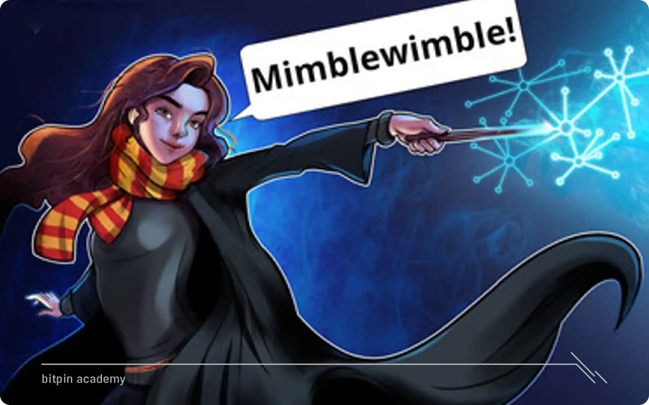 Mimblewimble