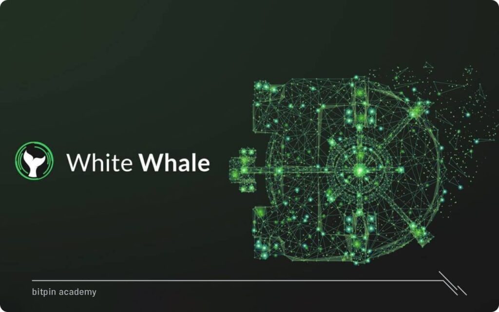 معرفی IDO نهنگ سفید