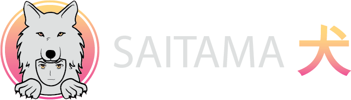 ارز دیجیتال سایتاما (SAITAMA) چیست؟ همه چیز درباره توکن SAITAMA