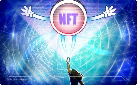 Polygon یا NFT Market؟ کدام یک بهتر است؟