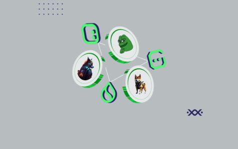 6 ارز دیجیتال محبوب و پرطرفدار به بازار بیت پین رسید! ایردراپ 100 میلیونی PEPE