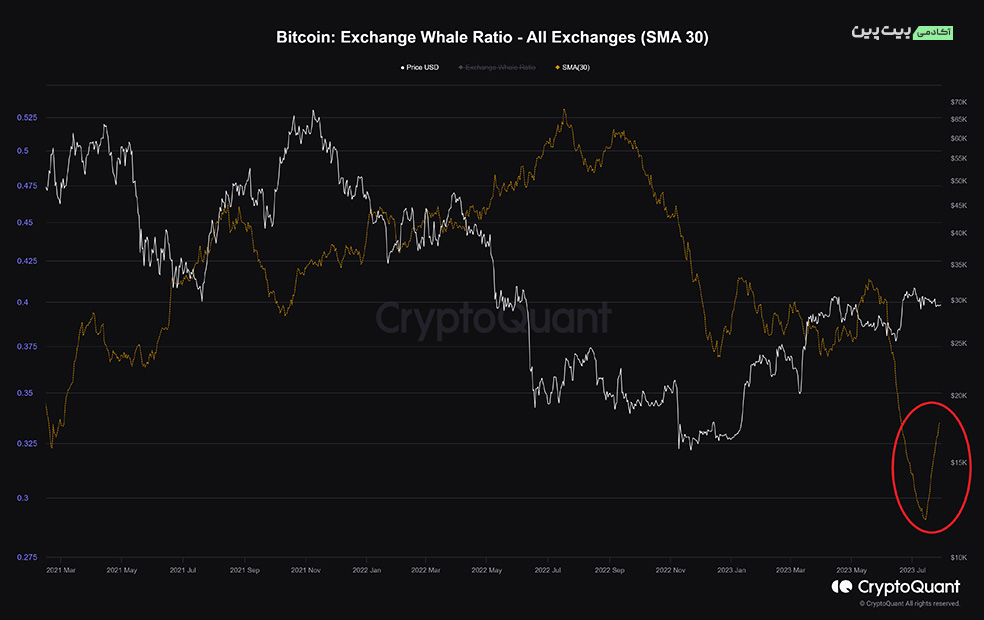 Exchange Whale Ratio