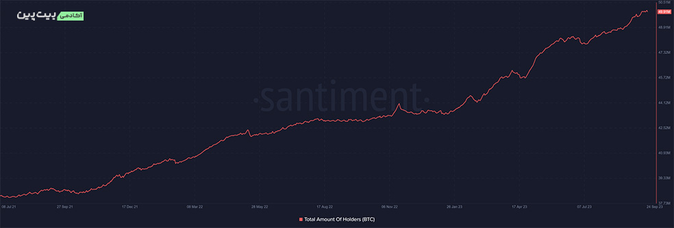 هولدرهای بیت کوین