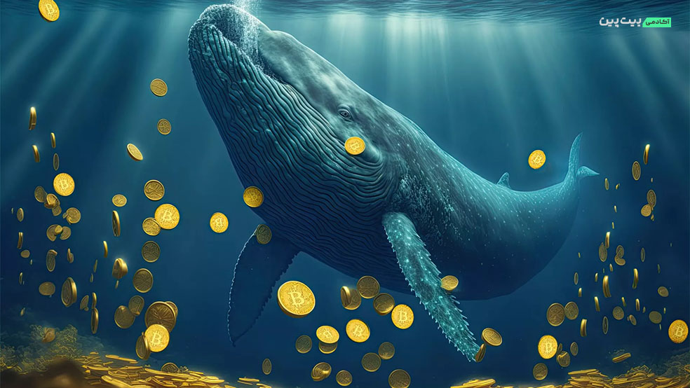 آیا نهنگ‌ها می‌توانند قبل از جلسه فدرال رزرو قیمت بیت کوین را افزایش دهند؟