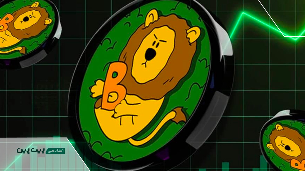 میم کوین بیلد آن