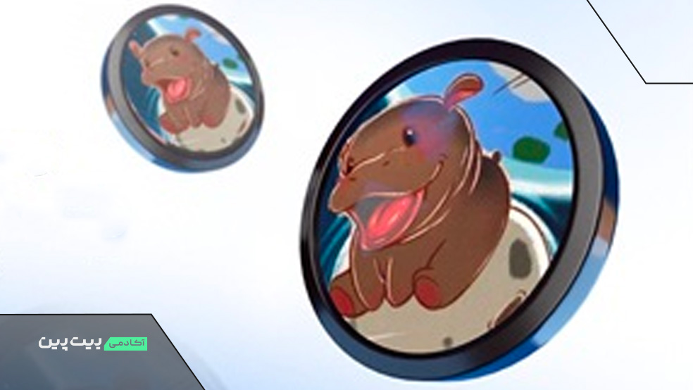 میم کوین مو دنگ