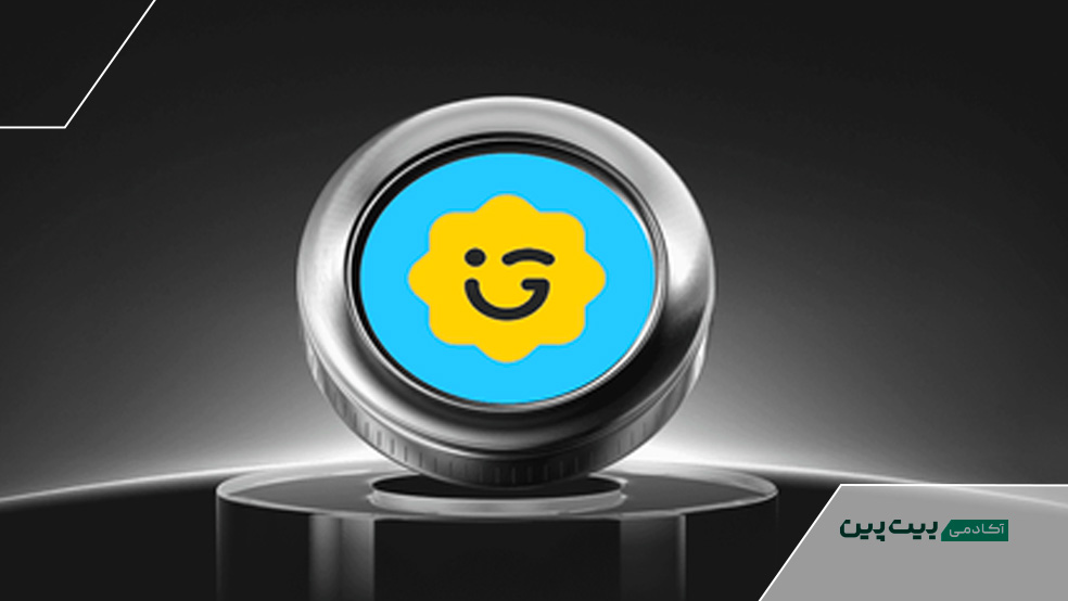 میم کوین گیگل فاند