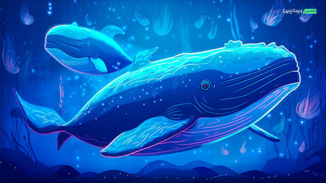 جابه‌جایی 730 میلیون‌دلاری نهنگ‌ها؛ رمزارزها کجا می‌روند؟