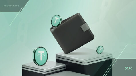بهترین کیف پول برای نگهداری تتر چیست