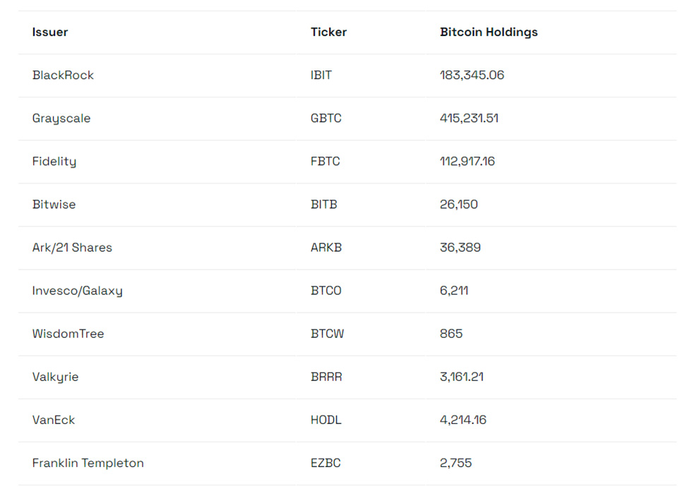Bitcoin Holdings by Issuer