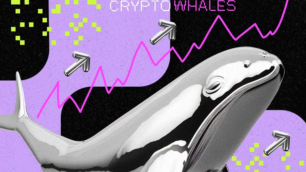 تصویری که نشان‌دهنده تاثیر نهنگ‌های کریپتویی بر بازار رمزارزها است