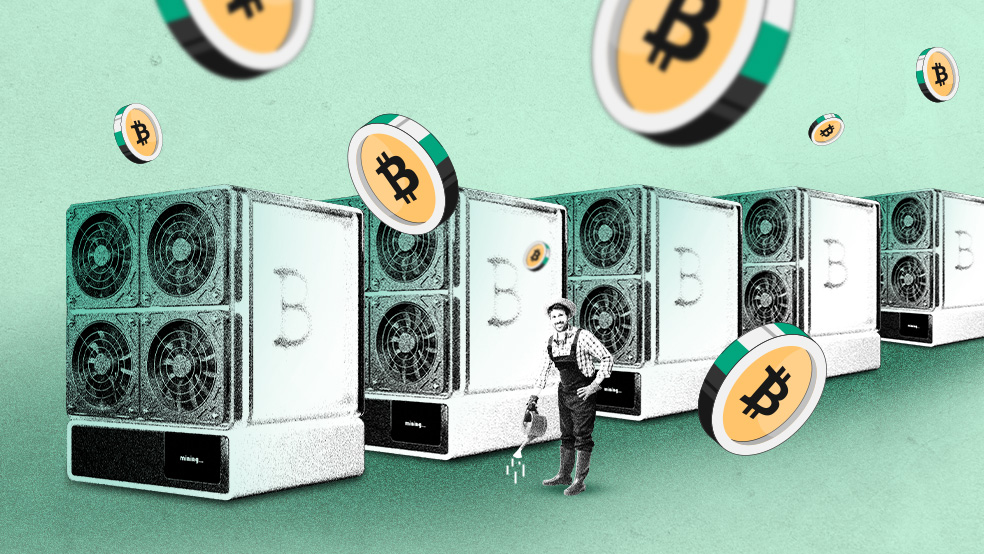 مزرعه استخراج ارز دیجیتال یا فارم ماینینگ چیست