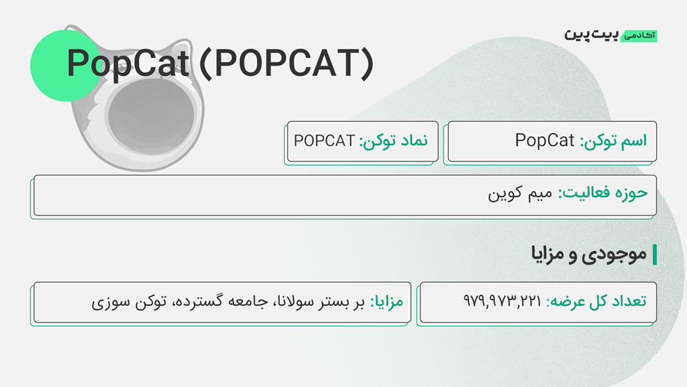 اطلاعات ارز دیجیتال پاپ کت