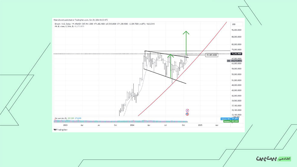 تحلیل بیت کوین توسط تحلیلگر مشهور (پیتر برنت) بازار رمزارزها