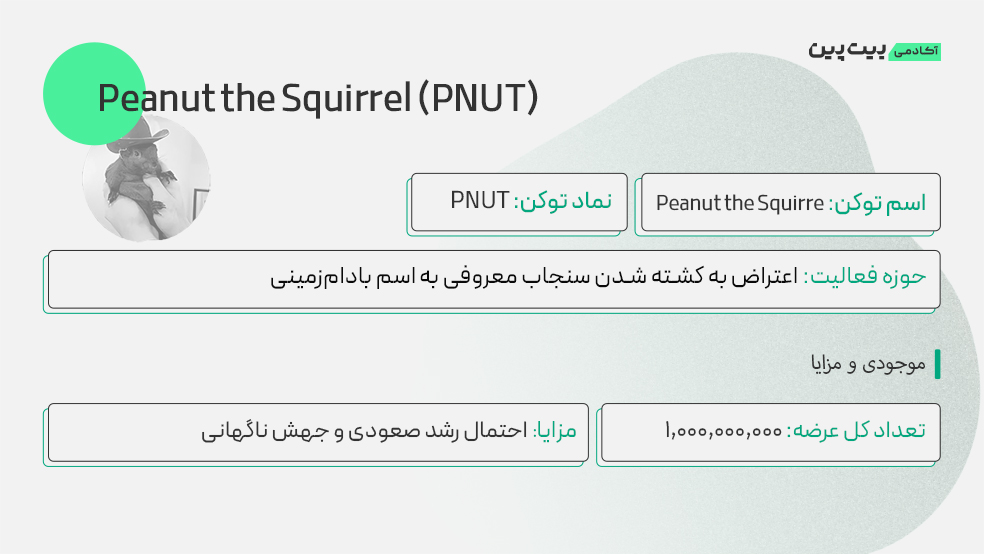 توکنومیکس ارز دیجیتال پینات PNUT