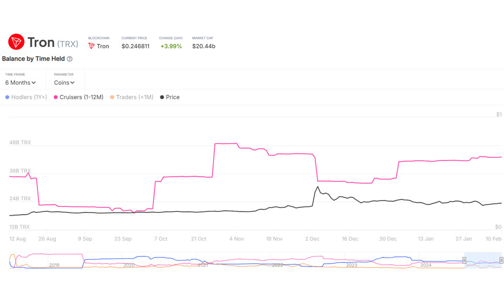 بررسی موجودی ارز دیجیتال TRX در کیف پول هولدرها