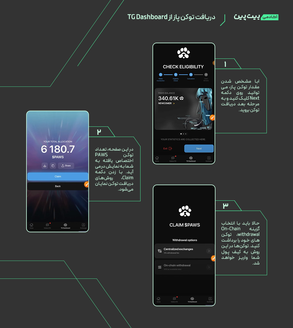 دریافت توکن پاز از TG Dashboard