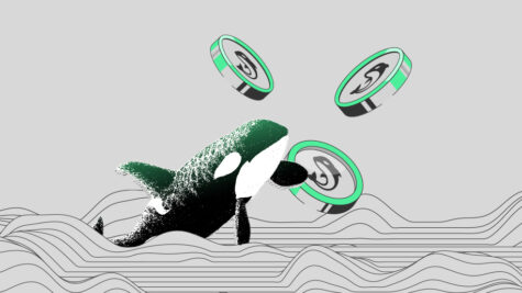همه چیز درباره ارز دیجیتال اورکا (Orca)