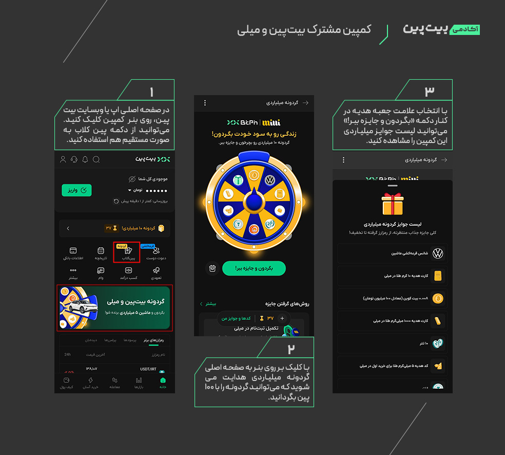 کمپین مشترک بیت پین و میلی
