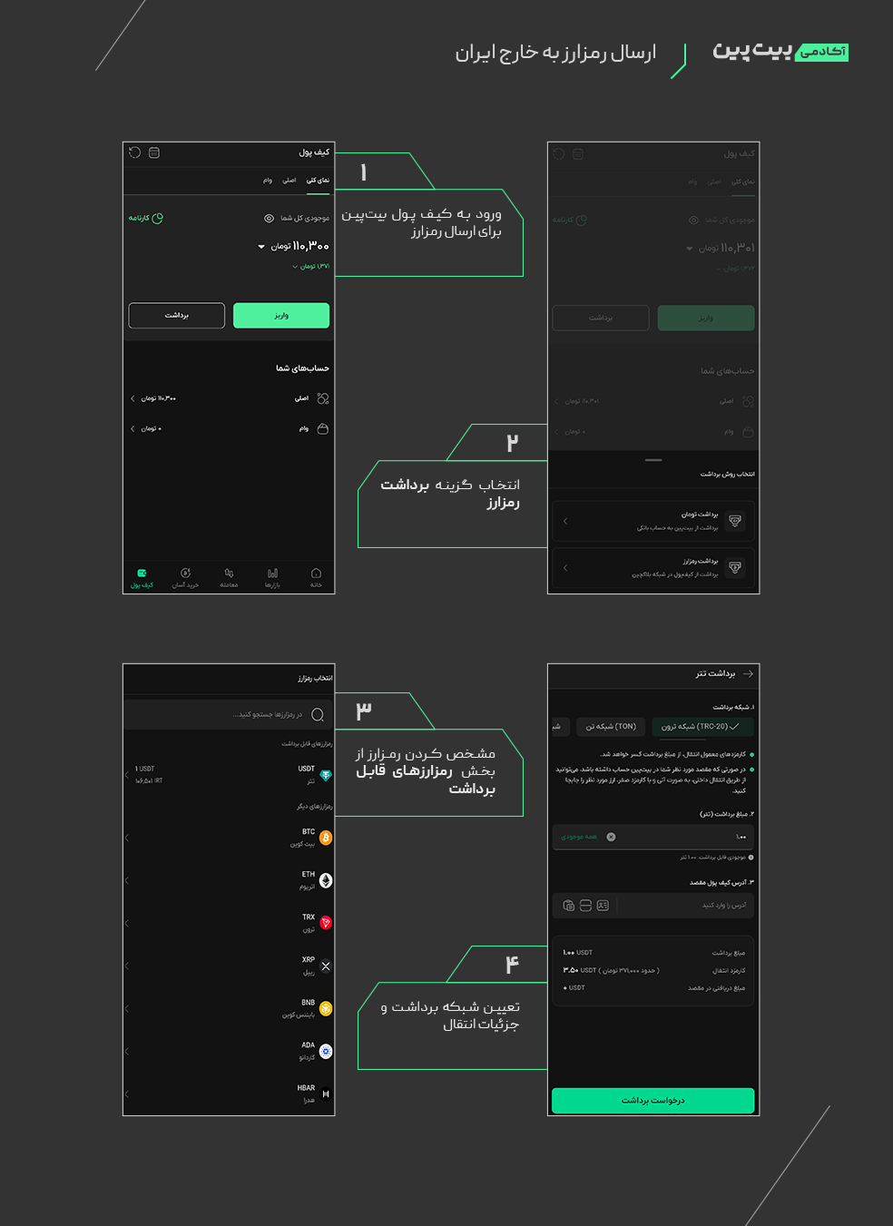 ارسال رمزارز به خارج ایران در بیت پین