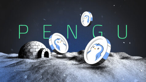 ارز دیجیتال PENGU چیست؟ معرفی جامع میم کوین پاجی پنگوئن