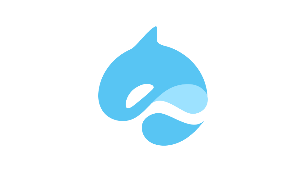 کیف پول سویی Surf Wallet