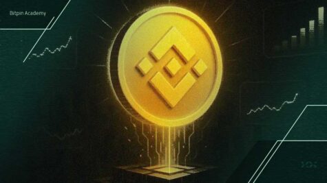 رشد قیمت bnb