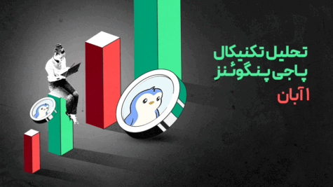 تحلیل پاجی پنگوئنز