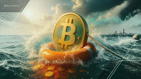 ۹۹٪ خریداران اخیر بیت کوین ضرر کردند اما چرا هاروارد می‌خرد؟