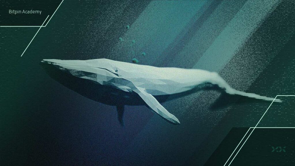 فروش گسترده نهنگ‌های این آلت‌کوین، روند صعودی آن را متوقف کرده است