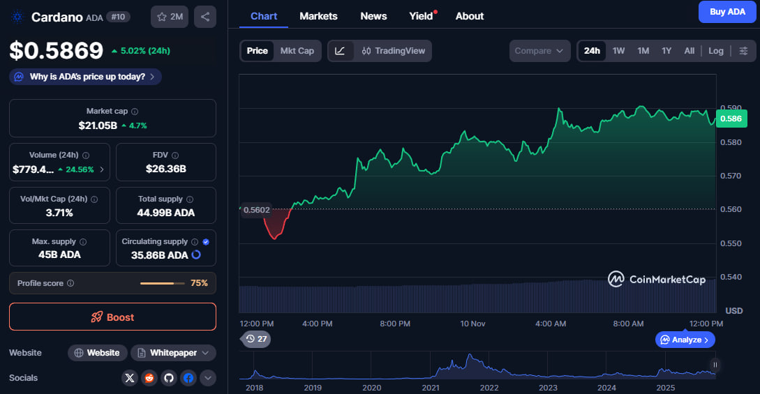 کاردانو (ADA): همایش بزرگ برلین و چشم‌انداز آینده