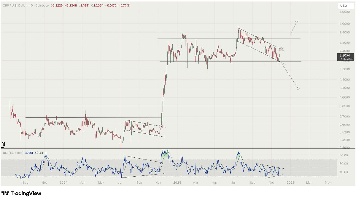تحلیلی از guyonearth در شبکه X