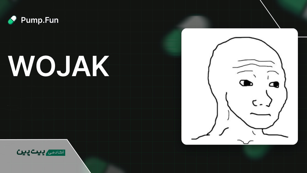 توکن ووجک پامپ فان