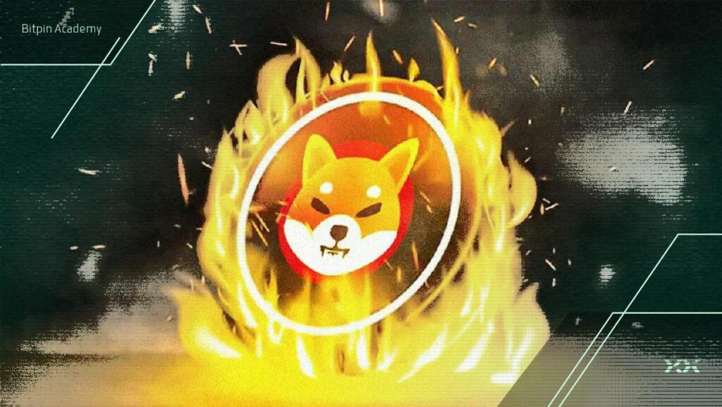 تحلیل شیبا اینو: فعالیت نهنگ‌های شیبا اینو به بالاترین سطح ۶ ماهه رسید!