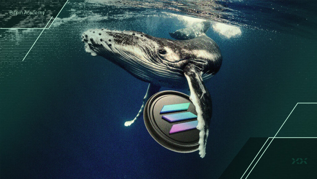 آیا برداشت ۲۸ میلیون دلاری نهنگ سولانا، قیمت SOL را به ۱۴۵ دلار می‌رساند؟