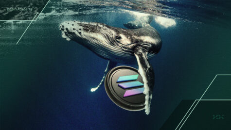 آیا برداشت ۲۸ میلیون دلاری نهنگ سولانا، قیمت SOL را به ۱۴۵ دلار می‌رساند؟