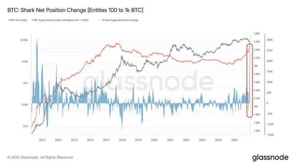 نهنگهای بیتکوین دوباره دست به خرید سنگین زدند