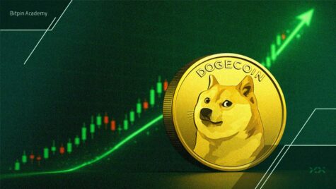یک تحلیلگر هشدار داد: دوج‌کوین چرخه ۲۰۲۰ را تکرار می‌کند!
