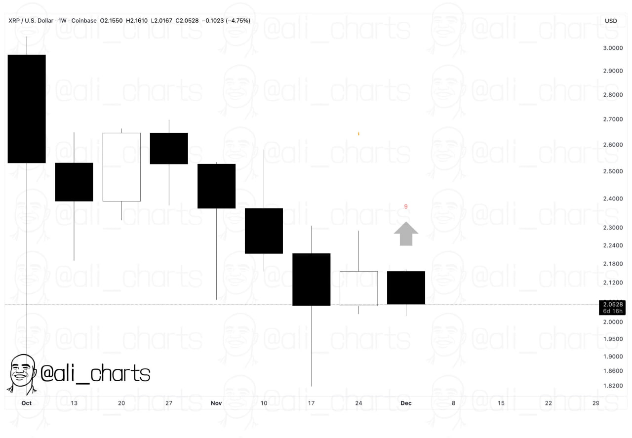 نمودار ریپل