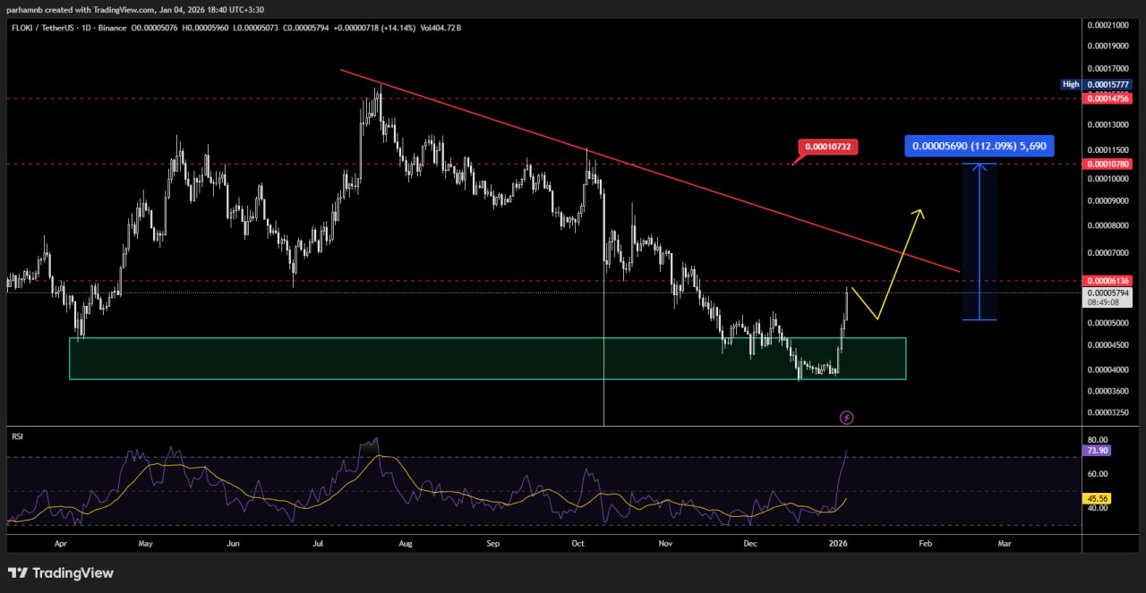 فلوکی اینو (FLOKI)؛ آماده برای پرواز پس از اصلاح