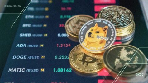 ریپل، دوج‌کوین یا بیت‌کوین؟ پیش‌بینی سودده‌ترین ارز در سال ۲۰۲۶